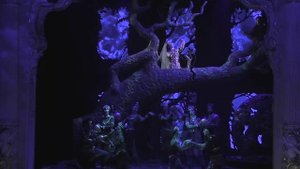 Алина Николаева. Лейла ария 1