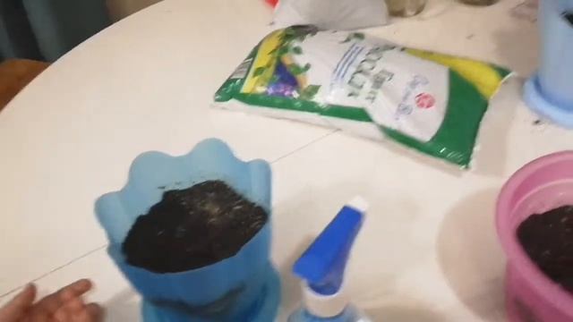 Мы сажаем цветы 💐