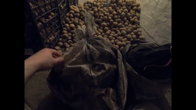 ХИТРОСТИ ПО ЛОВЛИ И СОХРАНЕНИЮ ЧЕРВЕЙ / ОХОТА НА РИБАЛКУ / НАЖИВКА НА СОМА / НАЖИВКА НА КОРОПА смотреть онлайн