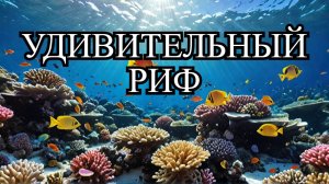 Большой Коралловый Риф