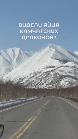 Видели яйца камчатских драконов?