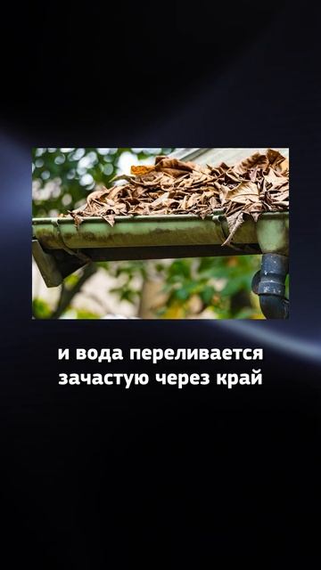 Хотите ДОМ в ЛЕСУ? Есть НЮАНС! #загородныйдом #домвлесу #загороднаяжизнь