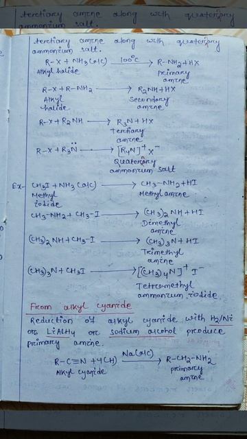 Organic Compounds Containing Nitrogen Class 12 Chemistry || Organic chemistry || смотреть онлайн