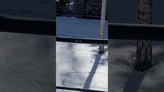 1000221632.mp4