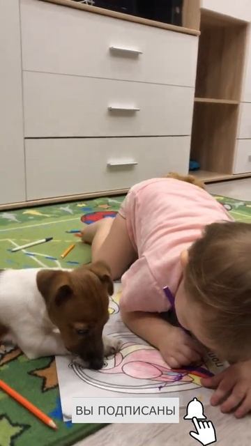 Вот это помощник! Раскраска! смотреть онлайн