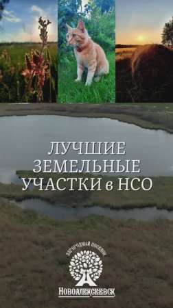 Лучшие земельные участки ИЖС в НСО