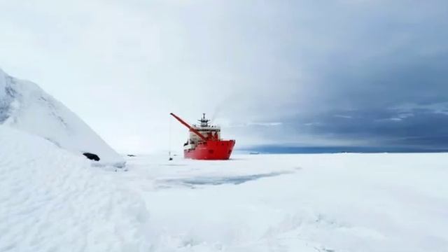 Для закупки флота за рубежом рассмотрят схему «единого окна».