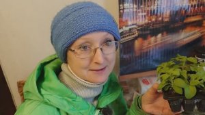 Видео привет с 6 соток 25 марта 2025 года.