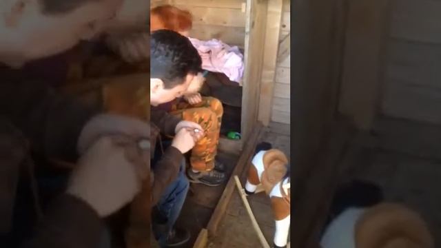 В Доме Енота смотреть онлайн