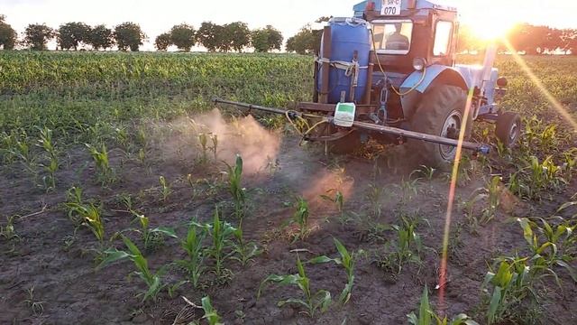 опрыскивание кукурузы смотреть онлайн