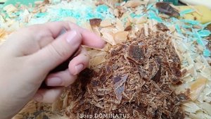 Soap Cutting🧼ASMR🔪Резка сухого мыла Хозяйственные,хвойные,дегтярные и банные обмылки