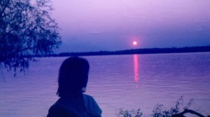 39 мгновений весны. ч.2.