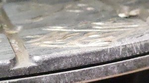 Диск сцепления Toyota Hilux 7 2,5