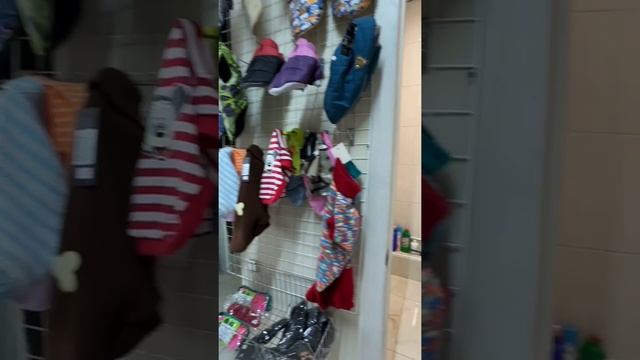 Зоомагазин .Груминг. Зоогостиница для кошек. улица Бояринова, 13, микрорайон Новое Павлино, Балашиха