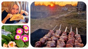 Удобрения для дачи в Лемано про. Лайфхак для огородников, и вкусные чебуреки 🌮