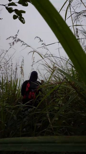 Forest camping | Full video is on my youtube channel смотреть онлайн