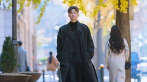 Одиночество Мёльмана.