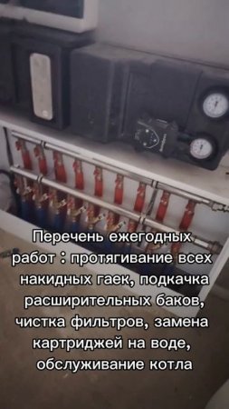 1000146096.mp4