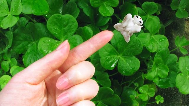 fluffy moth "flying" смотреть онлайн
