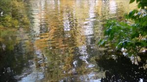 Нескучный сад