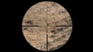 ZEISS Conquest V6 3-18x50 and 5-30x50 Models