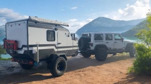 ЭКО в дикой природе