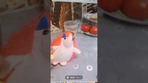 мультфильм