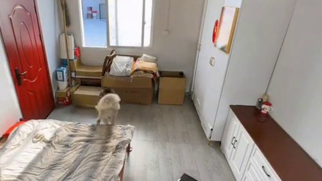 побег