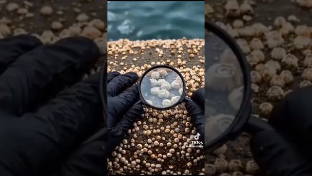 VID-20250326-WA0195