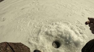 Исетское 25.03.2025