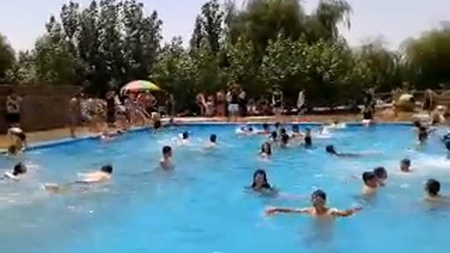 Бассейн (Arcvi tever ) смотреть онлайн