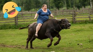 60 МИНУТ НЕВОЗМОЖНО 🤣 ОСТАНОВИТЬСЯ СМЕЯТЬСЯ САМЫЕ НЕЛЕПЫЕ И РЖАЧНЫЕ ПРИКОЛЫ 2025 УГАРНАЯ ПОДБОРКА