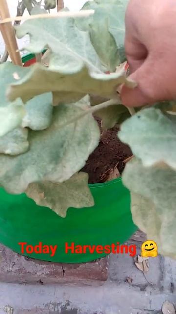 April 12, 2021 смотреть онлайн