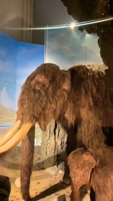Natural real life mammoth extinct смотреть онлайн