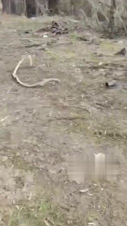 Суджа , ВСУ убили 14 мирных, среди которых дети ...