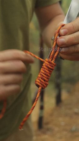 Бушкрафт в лесу - Отличный лайфхак который может пригодиться