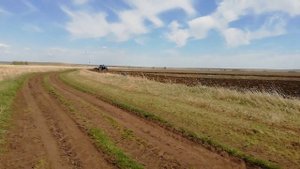 Беларус1221.2.Дискование поля, после подсолнечника.Обработка почвы под посев (сезон 2021)