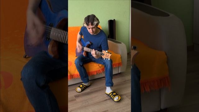 PRS SE Custom24