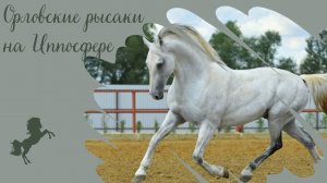 Орловские рысаки на конной выставке Иппосфера