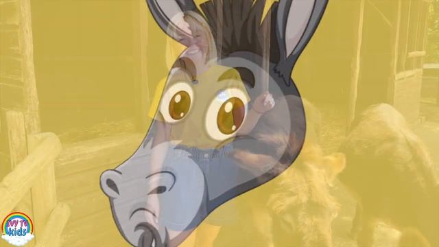 Fun_Facts_About_Donkeys_for kids смотреть онлайн