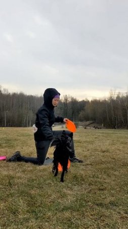 Муди Эни - вольт от колена
