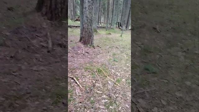 Разбор темы Привороты!! немного о последствиях их!