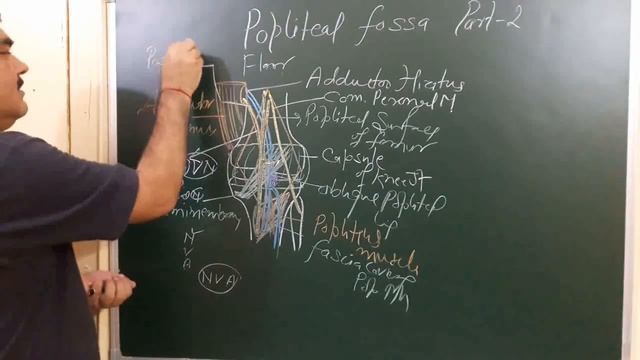 Popliteal fossa part 6/6 by Dr A K Singh смотреть онлайн