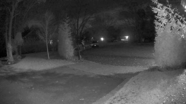 their go the ornamental bushes! смотреть онлайн