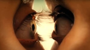 Одно целое — Русский трейлер (фильм 2025) / Together