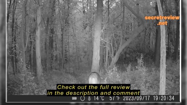 iZEEKER Solar Trail Camera 2.7K/1520P 30fps 36MP, Game Camera with 940nm No Glow Infrared LEDs, Tra смотреть онлайн