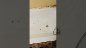 Уборка захламленной квартиры под ключ с выносом мусора и с озонированием от Проф Клин