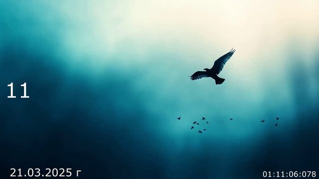 1028 Беседа 11 21.03.2025 г смотреть онлайн