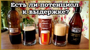 Созревание 6 месяцев пиво Muntons IPA Bitter #ipa #пиво #muntonsipabitter