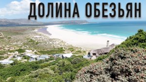 Долина отдыха обезьян 🐵 Noordhoek / ЮАР